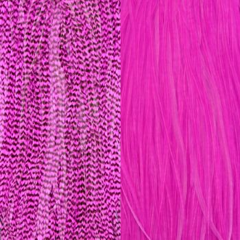 Duo Plumes Pink