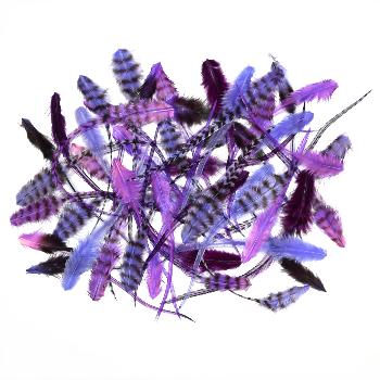 Lot de 50 Plumes de Frange Coloris Purple Rain: 17 € H.T.